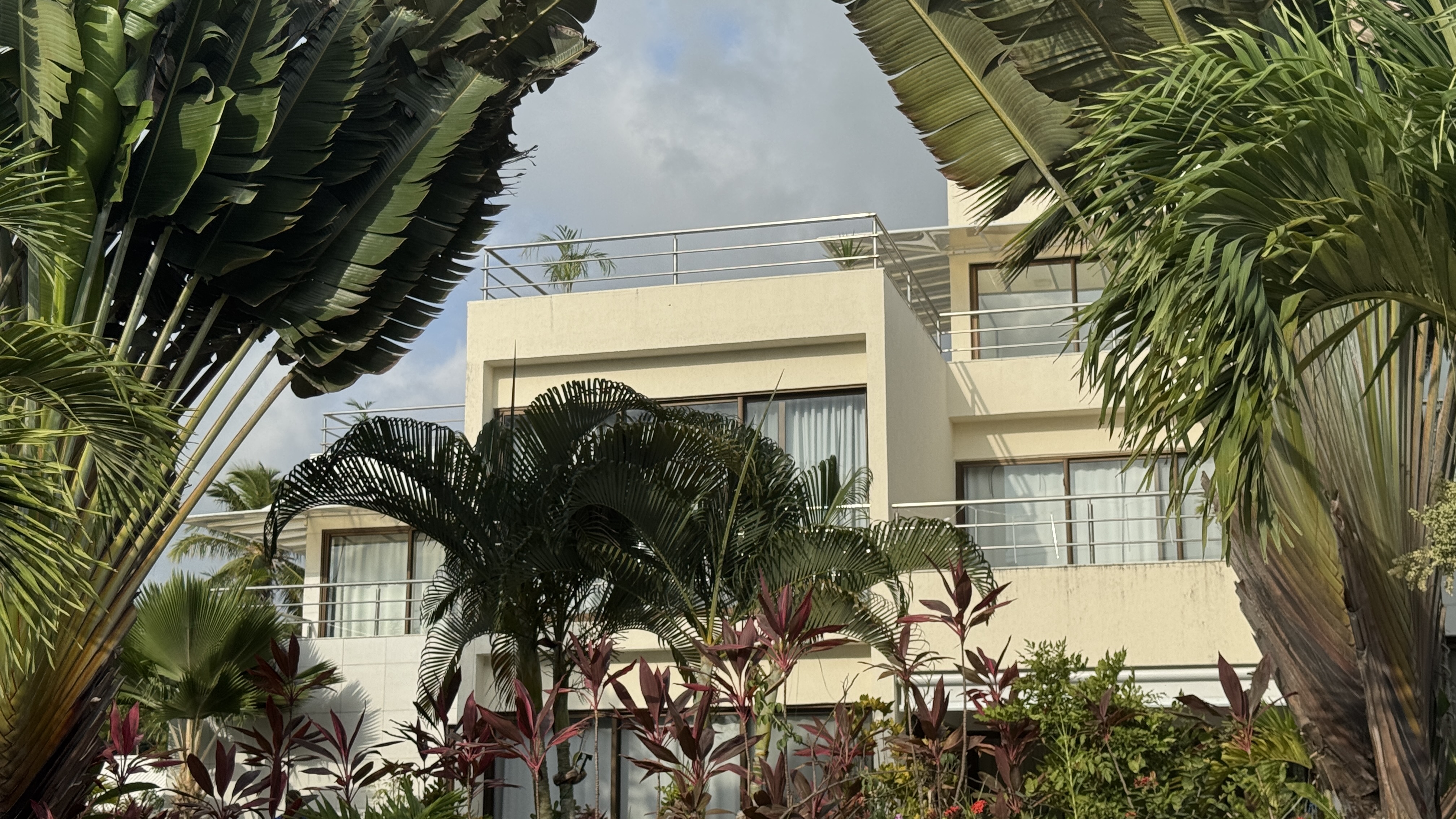 Tropical Refuge, Brazil