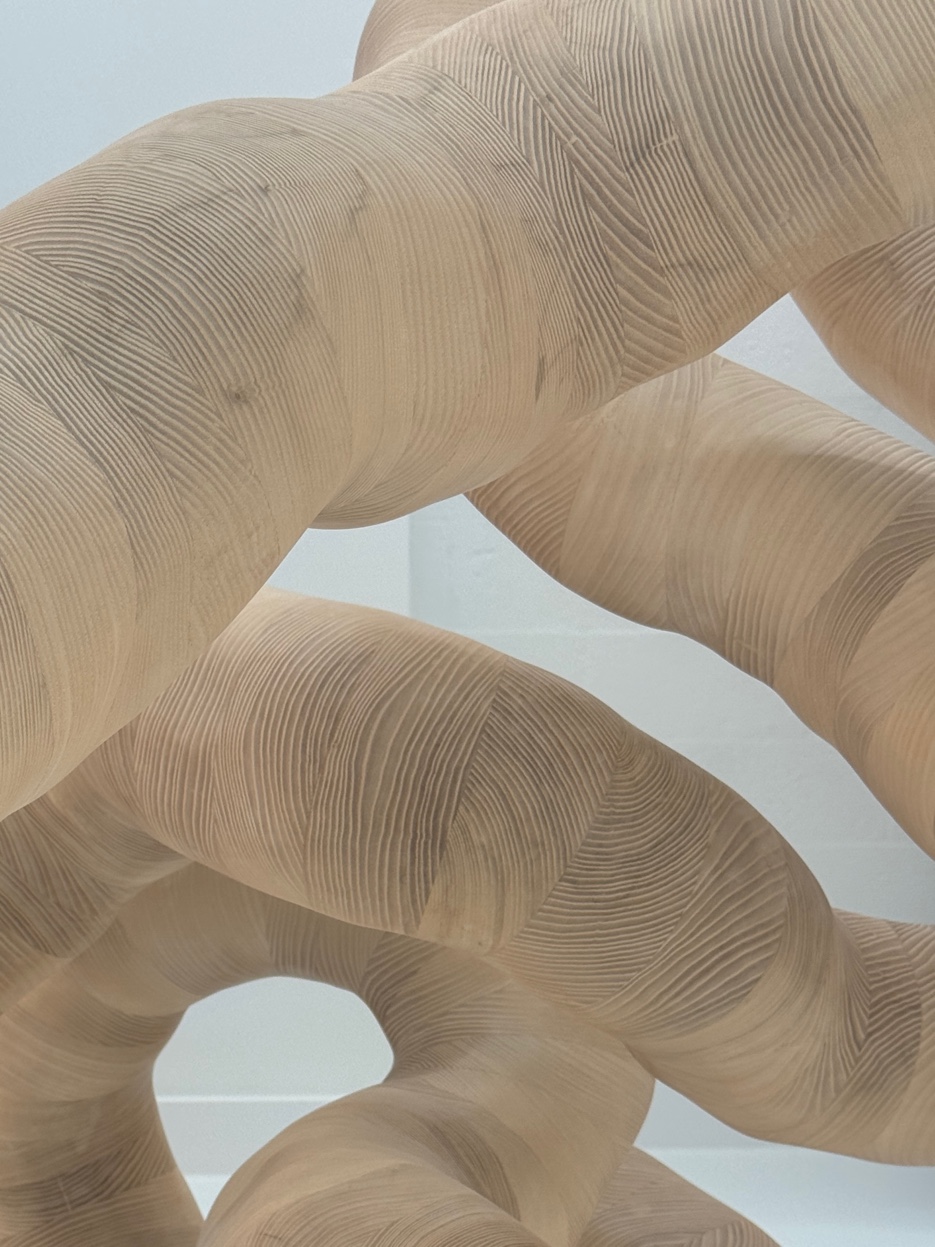 Texture and Form, NYC